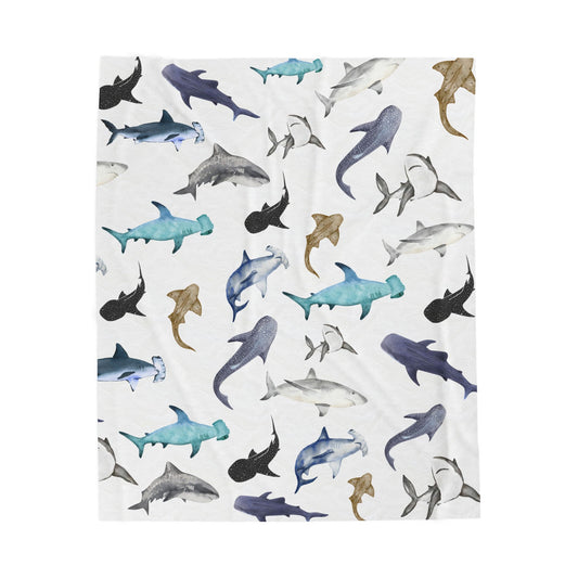 Velveteen Plush Blanket